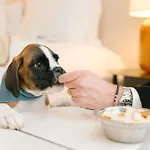 Sofitel Le Scribe Paris Opera