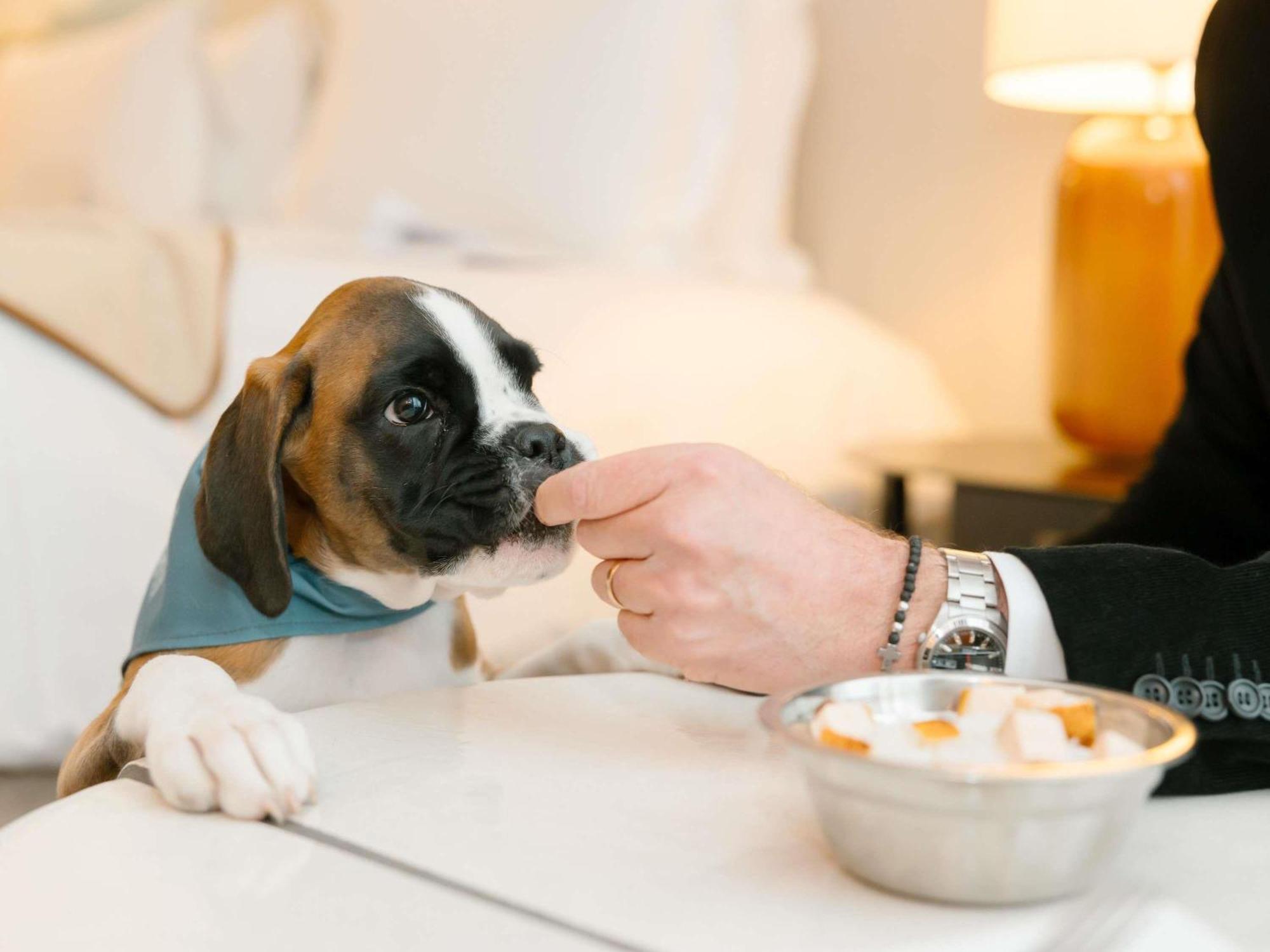 Hotel Sofitel Le Scribe Opera Parigi